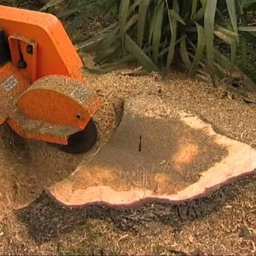 stump_removal_img stump_removal_img