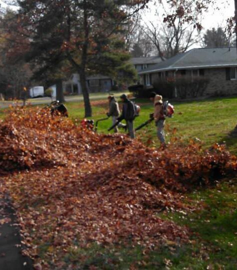 Fall-Cleanup