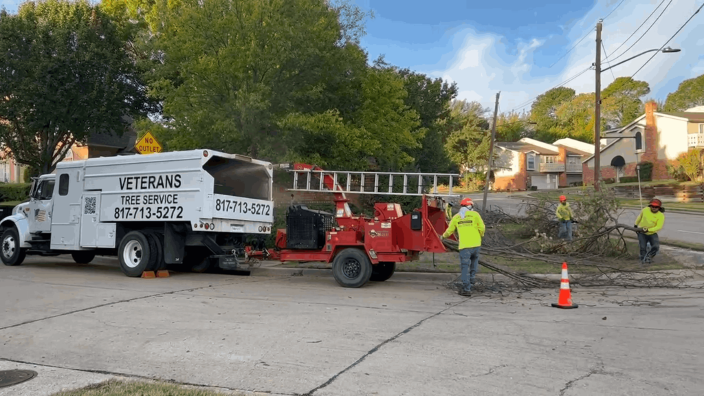 Professional Tree Services in Crowley, TX