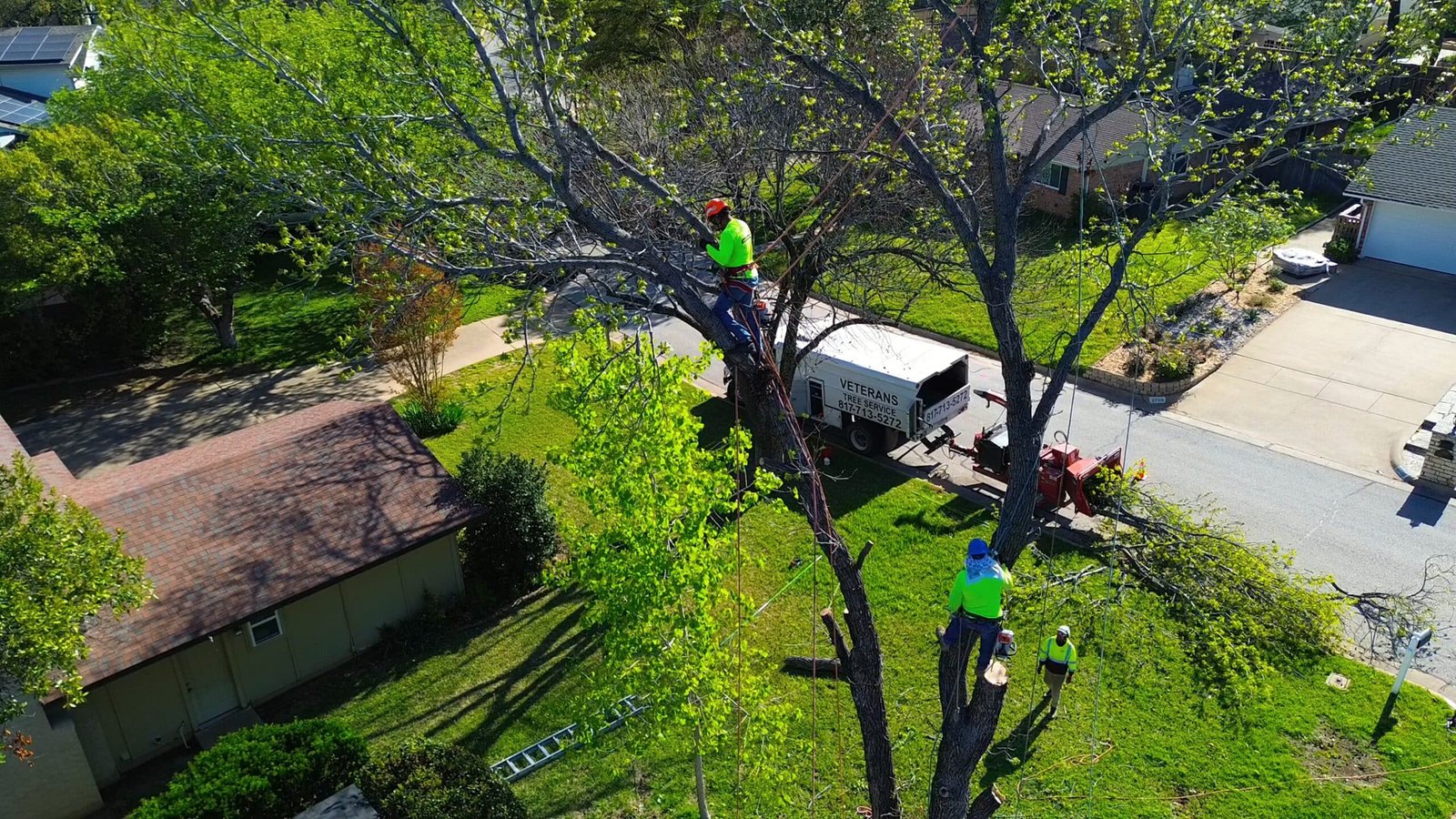 Tree Services in Crowley, TX
